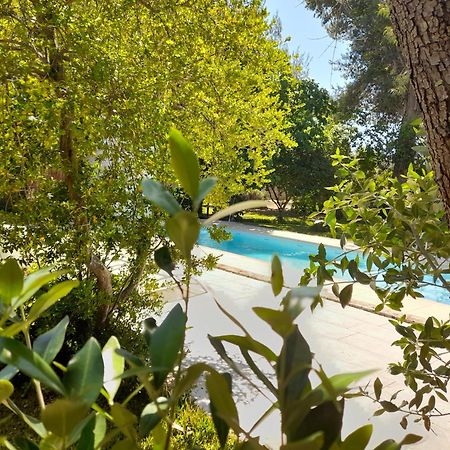 Вілла La Dimora Dei Gelsi Castri di Lecce Екстер'єр фото